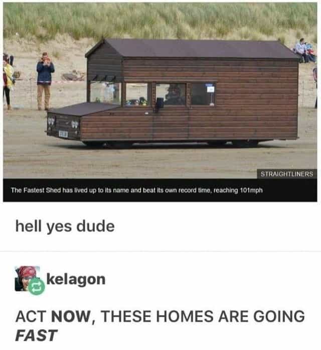 Tumblr posts