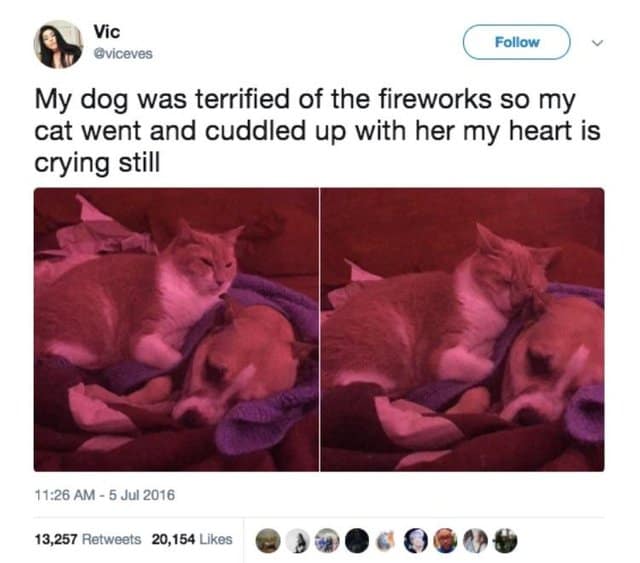 wholesome memes