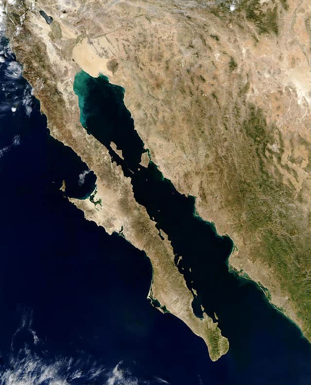 Baja Peninsula in Mexico. The narrow body of water is the gulf of California. Source: Jacques Descloitres, MODIS Rapid Response Team, NASA/GSFC.