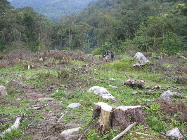 Deforestation near the Medellín River and Caldas, Antioquia, Colombia. Photo: medea_material, January 2008.