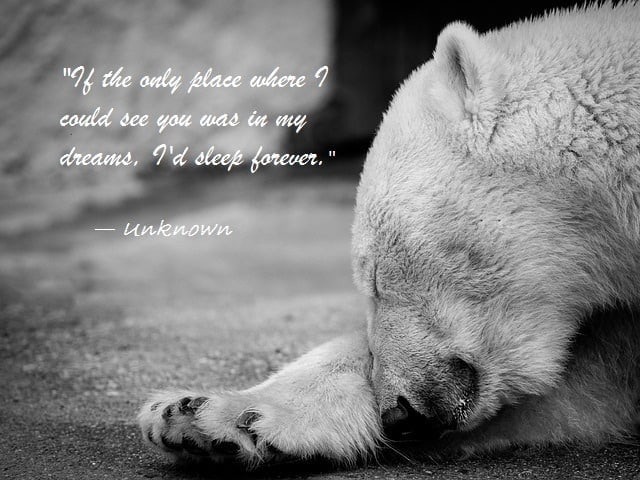 16 Beautiful Long Distance Relationship Quotes The Love Queen