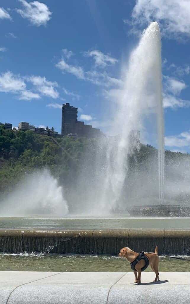 hazel at point state park fountain