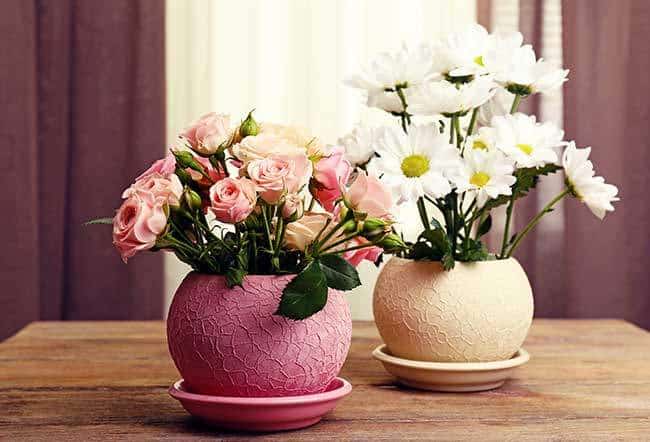 Summer Blush