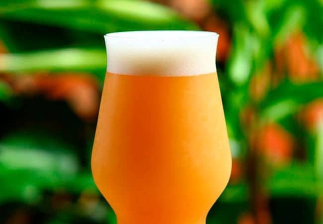Hazy IPA