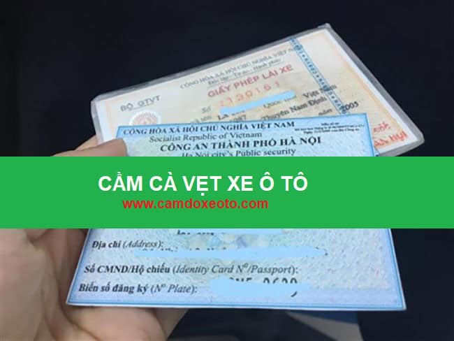 cầm cà vẹt xe