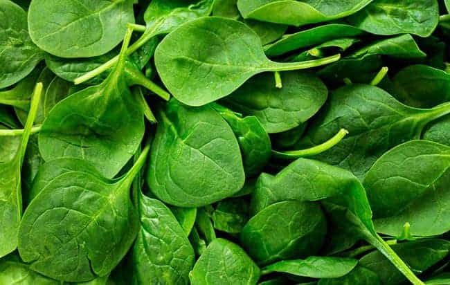 A Variety of Spinach is Healthy for Cholesterol Levels