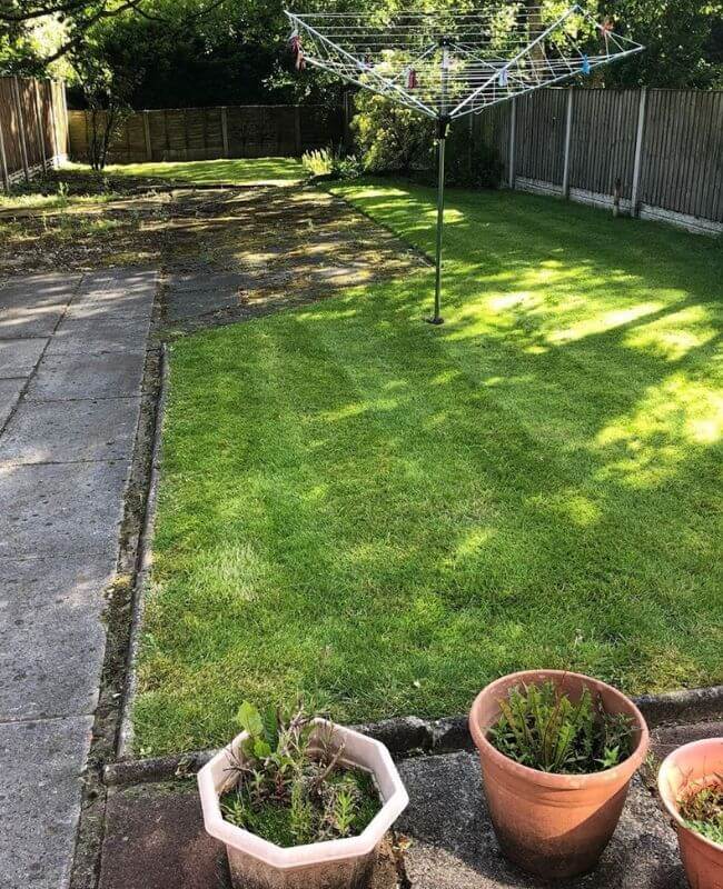 How Much Light Does Your Lawn Receive How Much Light Does Your Lawn Receive