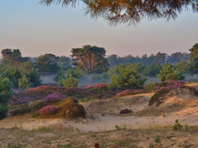 Kale Duinen augustus 2019 fotograaf Pauliena Kroezen winnaar fotowedstrijd 2019