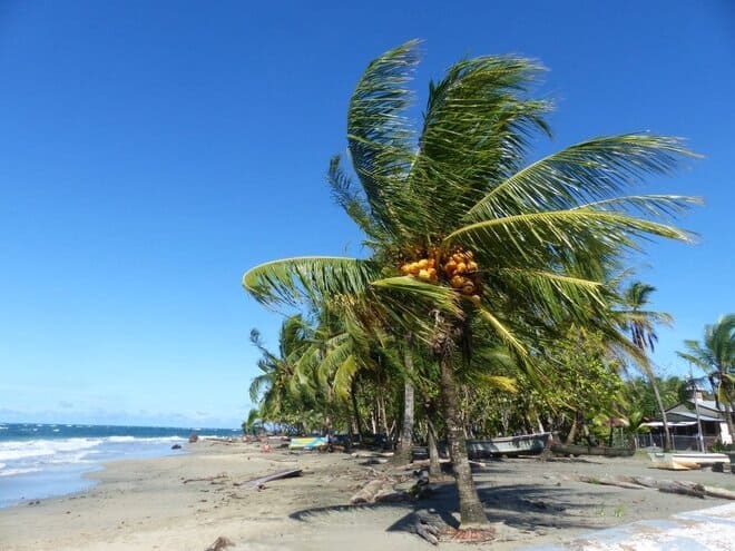 Costa Rica mit Kind, Strände, Karibik Puerto Viejo, Karibikküste - Costa Rica Rundreise mit Kind individuell
