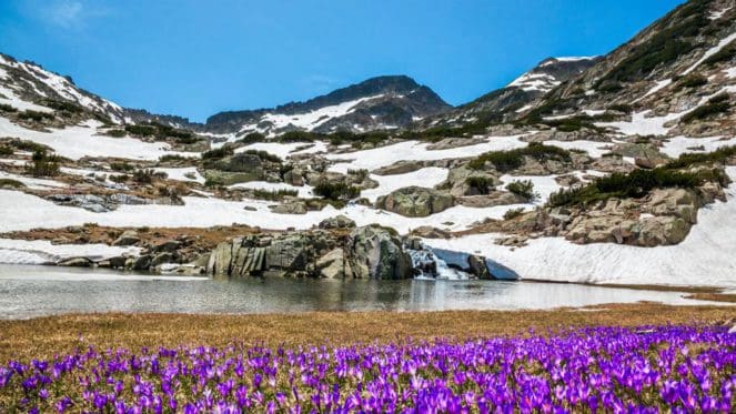 피린 국립 공원 El Parque Nacional de Pirin