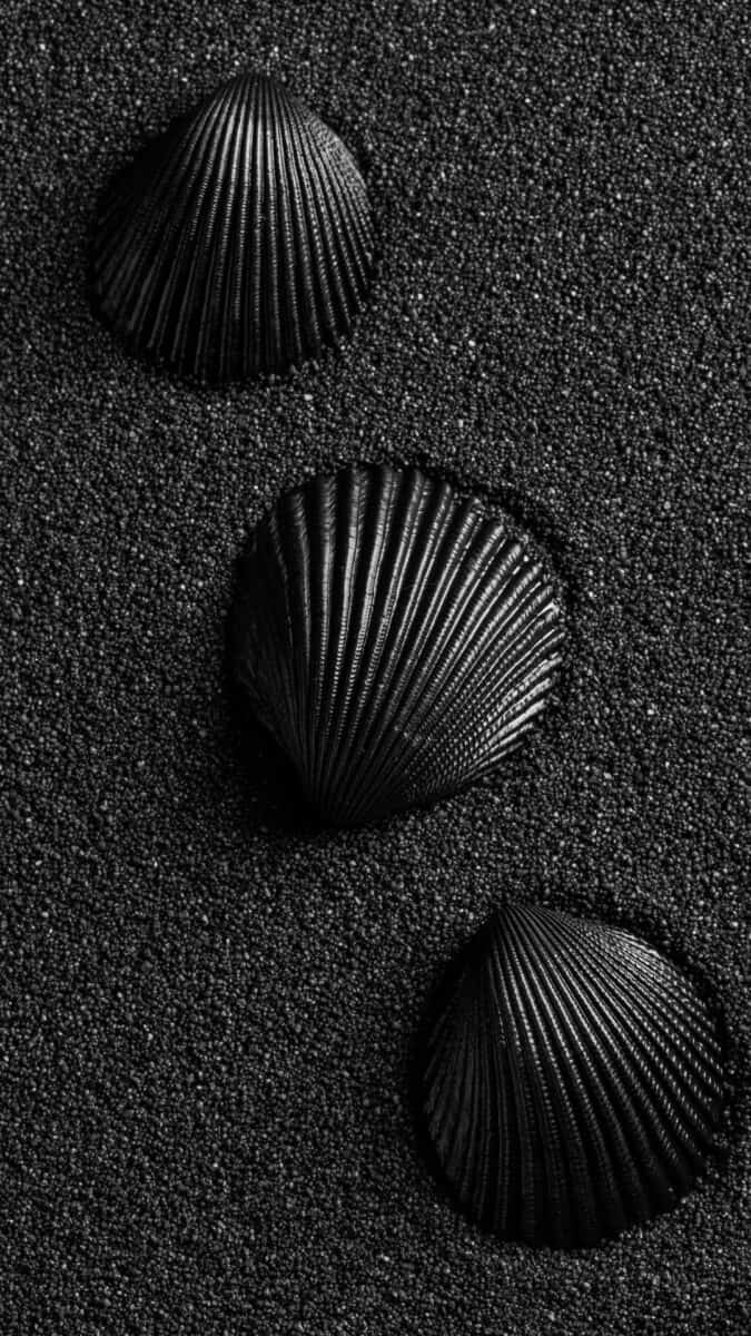 Black Aesthetic Wallpapers