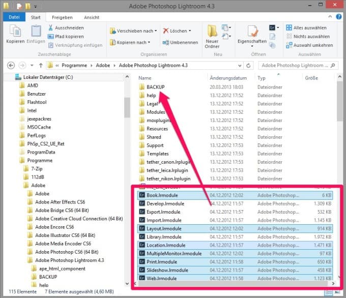 Lightroom Module unter Windows