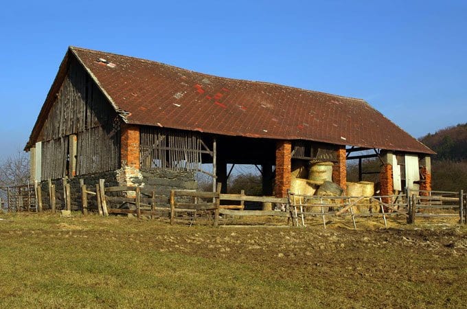 Sometimes these farms have had years of neglect, where they were agisted and overgrazed.