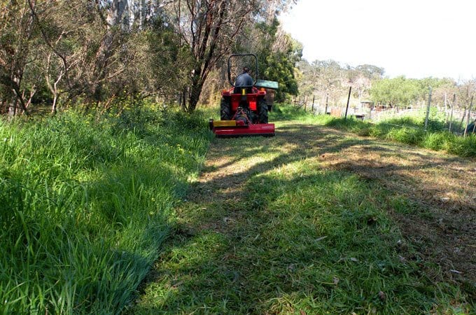 Flail mowers are ideal for thick grass and tall weeds.