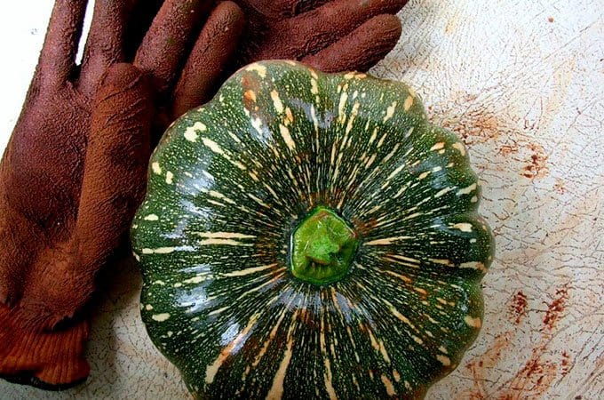 Nothing tastes better than your own fresh vegetables.