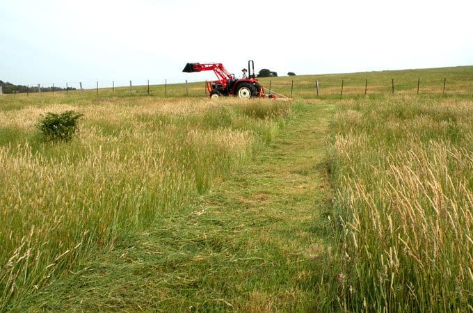 Slash along fencelines in low gear first.