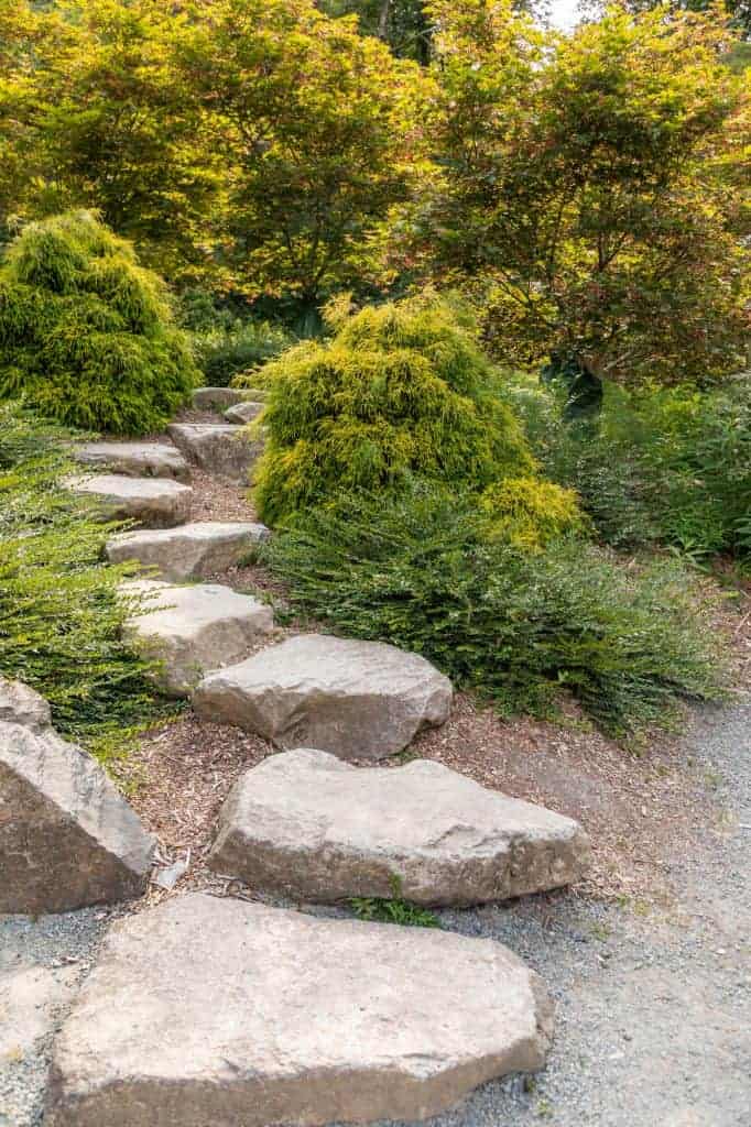 Beautiful Garden Setting With Stepping Stones