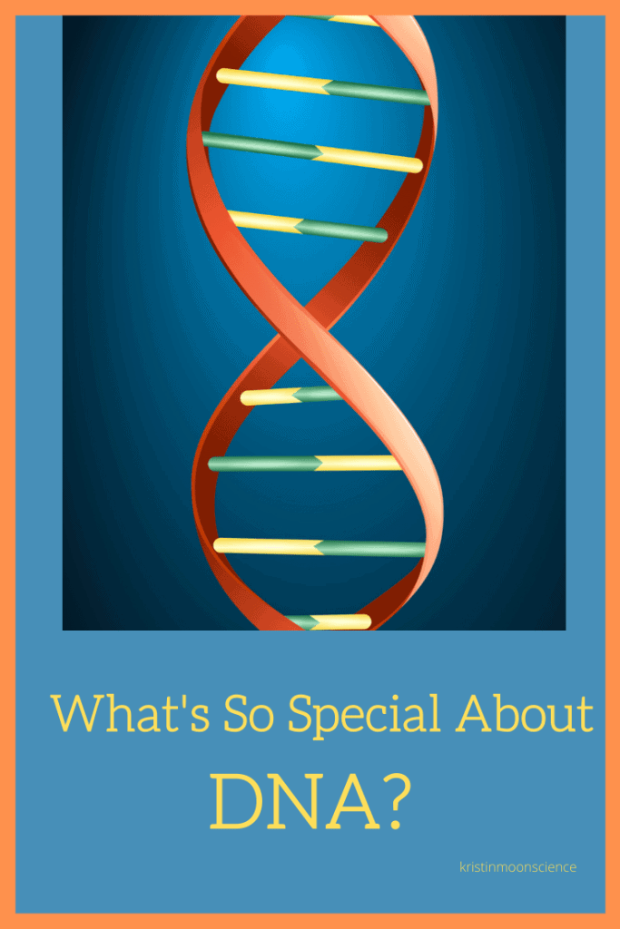 What is DNA? Why is so important and how does it function in ALL living things? Included are videos, ideas for optional experiments for at-home DNA extraction (you can extract YOUR OWN DNA!), and lots of links with more ideas for taking your learning farther (origami DNA, DNA coloring sheets, online simulations, etc. ).