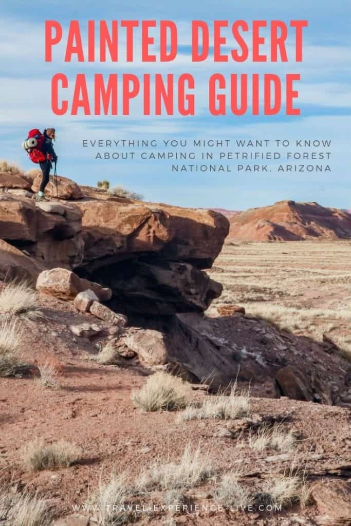Painted Desert Camping Guide: Camping in Petrified Forest National Park