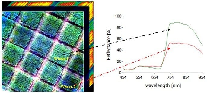 The distribution of hyperspectral imaging in wheat breeding. From: Yang, G., Liu, J., Zhao, C., Li, Z., Huang, Y., Yu, H., ... & Zhang, R. (2017). Unmanned Aerial Vehicle Remote Sensing for Field-Based Crop Phenotyping: Current Status and Perspectives. Frontiers in plant science, 8, 1111.