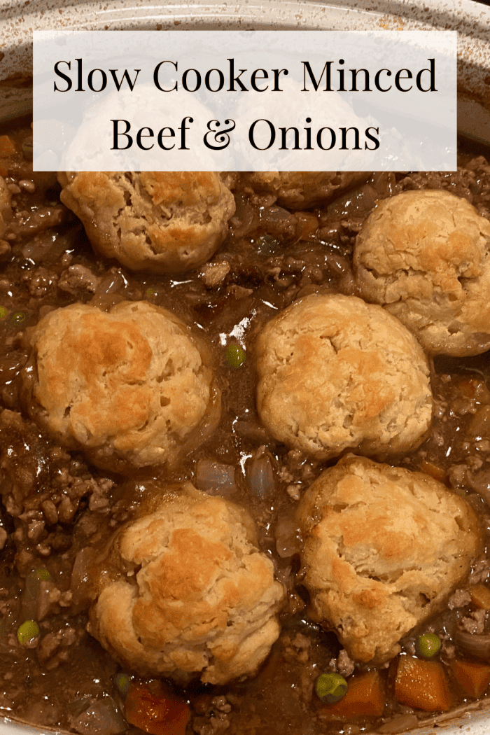 Slow Cooker Minced Beef and Onions Recipe.... The Diary of a Frugal