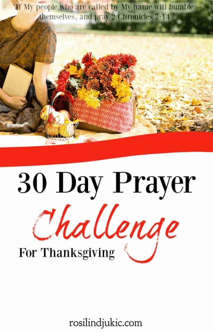 Join the 30 Day Prayer Challenge for Thanksgiving today! Click here to find out how you can download your copy today! A Little R & R | Rosilind Jukić | Christianity | Christian living | Christian blog | Christian faith | Bible Verse | Thanksgiving | #anxiety #prayer #warroom #warriorprincess #prayerjournaling #Scripture #Christian #Christianliving #spiritual #spiritualgrowth #Bible #God #jesus