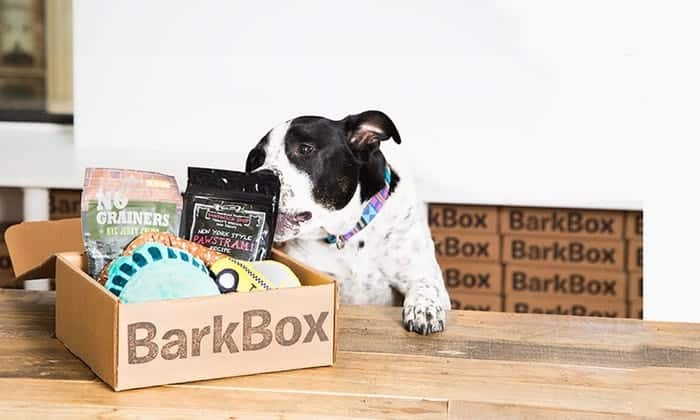 Barkbox Subscription Box | Opas Blog
