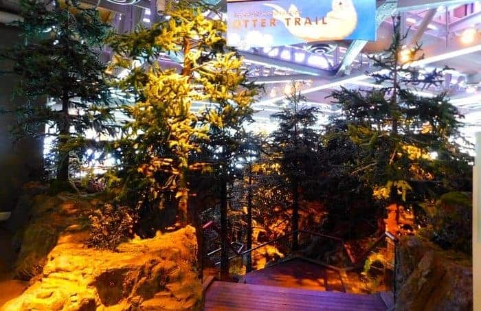 The shedd takes you to the pacific northwest