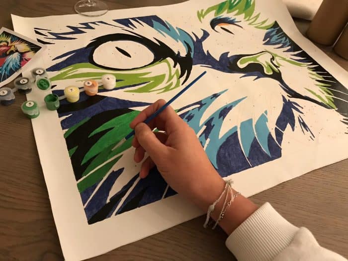 Cat paint by numbers