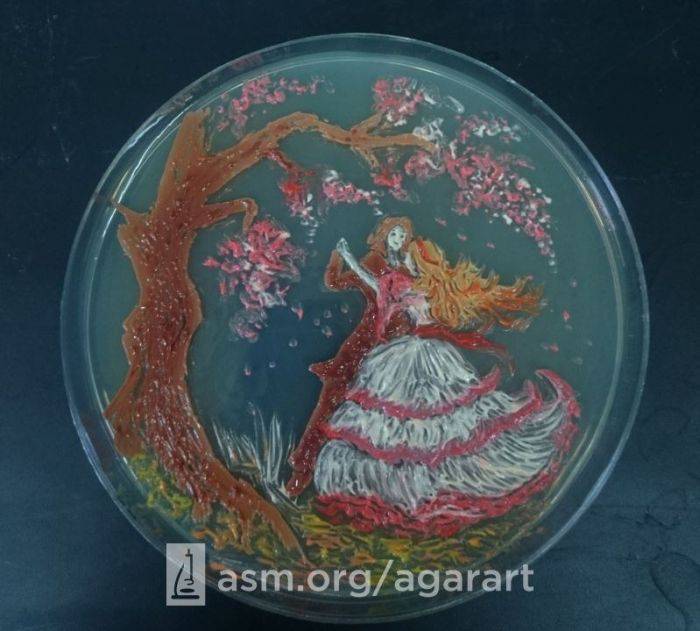 Alexander Fleming, savantul care a creat opere de artă din microbi
