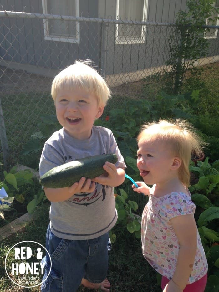 Growing Little Gardeners2