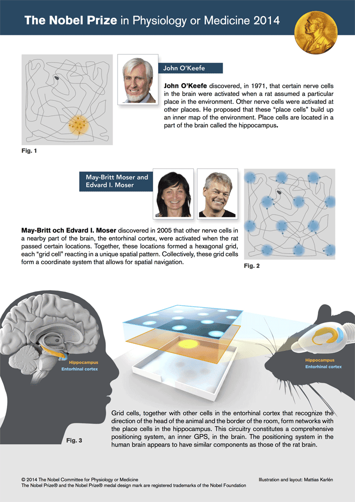 nobel-prize-gps-brain