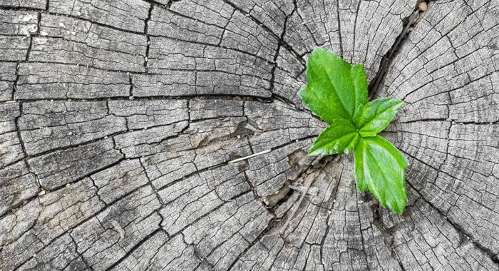 importance of unconditional positive regard in counselling Unconditional positive regard in counselling and offering full acceptance towards clients make growth and change possible.