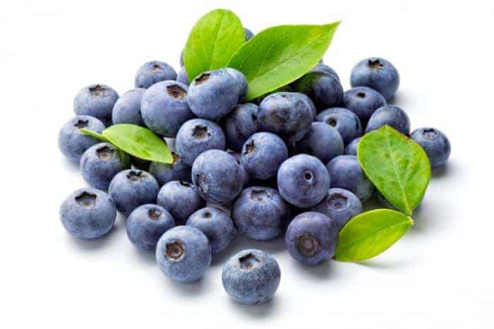 Blueberries Lowers Cholesterol