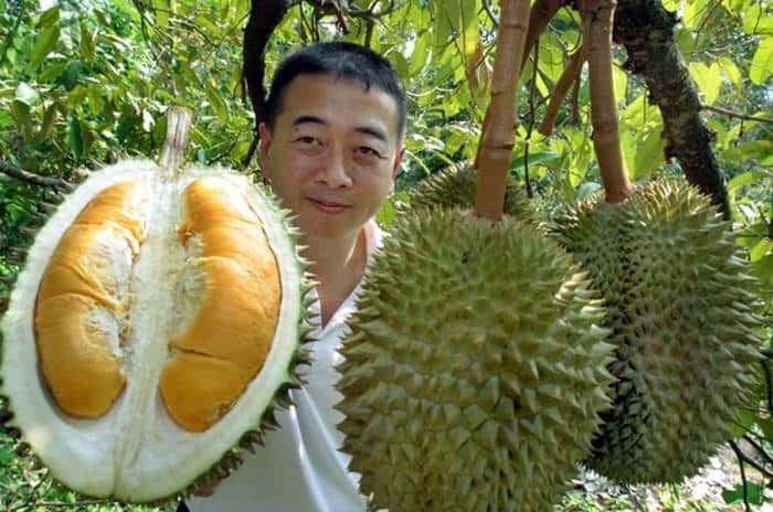 Durian