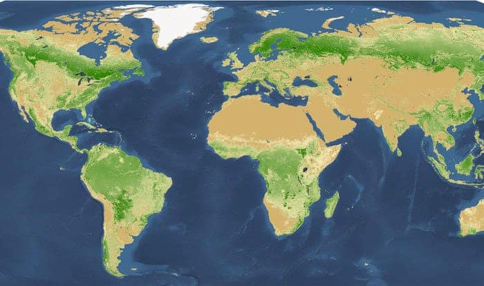 Map of the world's forests. Source: Crowther et al, 2015.