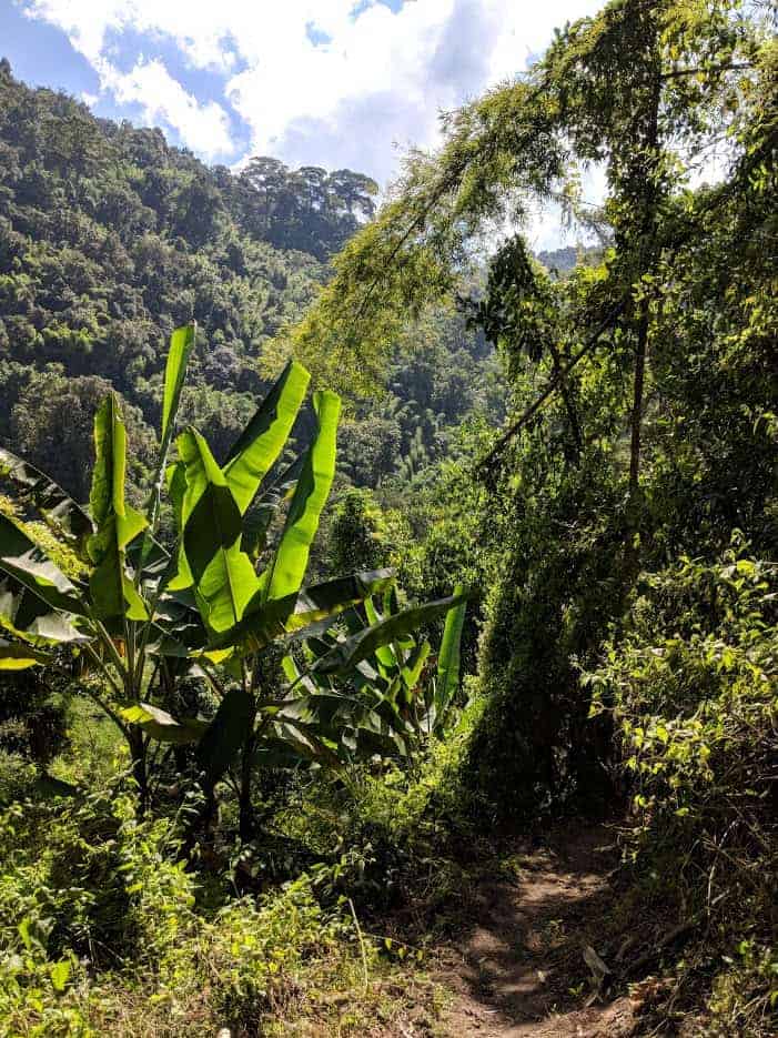 , Why I Would Never Live in Chiang Mai (As a Digital Nomad)