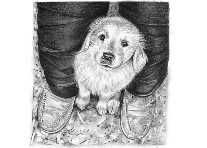 Dog Drawings By Angela Of Pencil Sketch Portraits The perfect combo, made easy right in this article. dog drawings by angela of pencil sketch