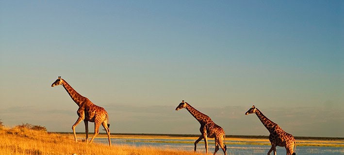 Namibia & Botswana Namibia & Botswana