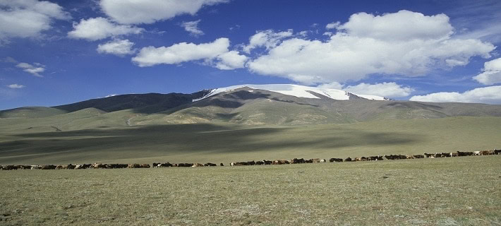 Mongolei Mongolei