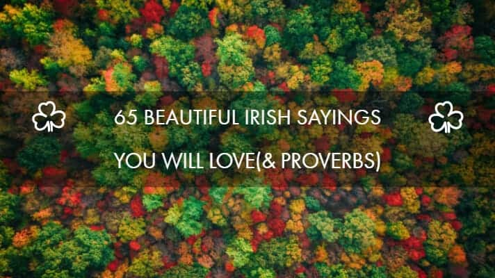 The Best Irish Sayings 65 Irish Blessings Irish Quotes And Irish Proverbs