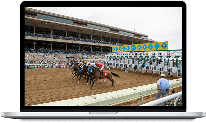 Horse Racing Software Horse Racing Software