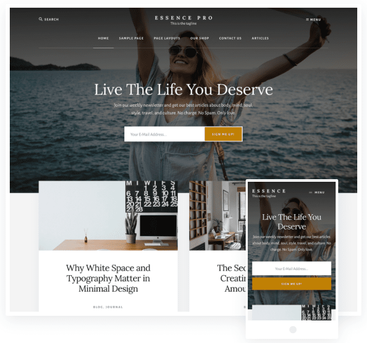 best wordpress themes for blogs best wordpress themes for blogs