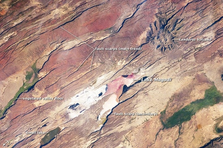 This astronaut photograph of the Eastern Branch of the Rift (near Kenya’s southern border) highlights the classical geologic structures associated with a tectonic rift valley. Astronaut photograph ISS030-E-35487 was acquired on January 14, 2012.