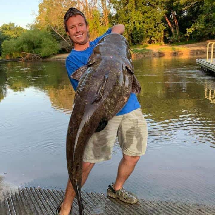 New Record Set For Biggest Flathead Catfish In North Carolina Country Music Nation