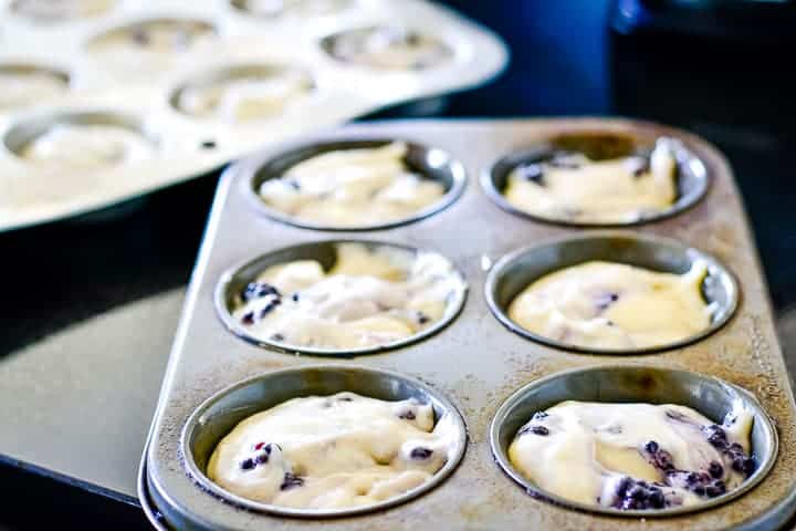Batter for wild blackberry muffins portioned out into muffin tins and ready to bake.