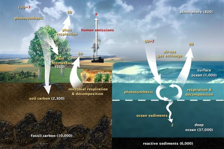 iagram of the fast carbon cycle shows the movement of carbon between land, atmosphere, and oceans.(Diagram adapted from U.S. DOE, Biological and Environmental Research Information System.)