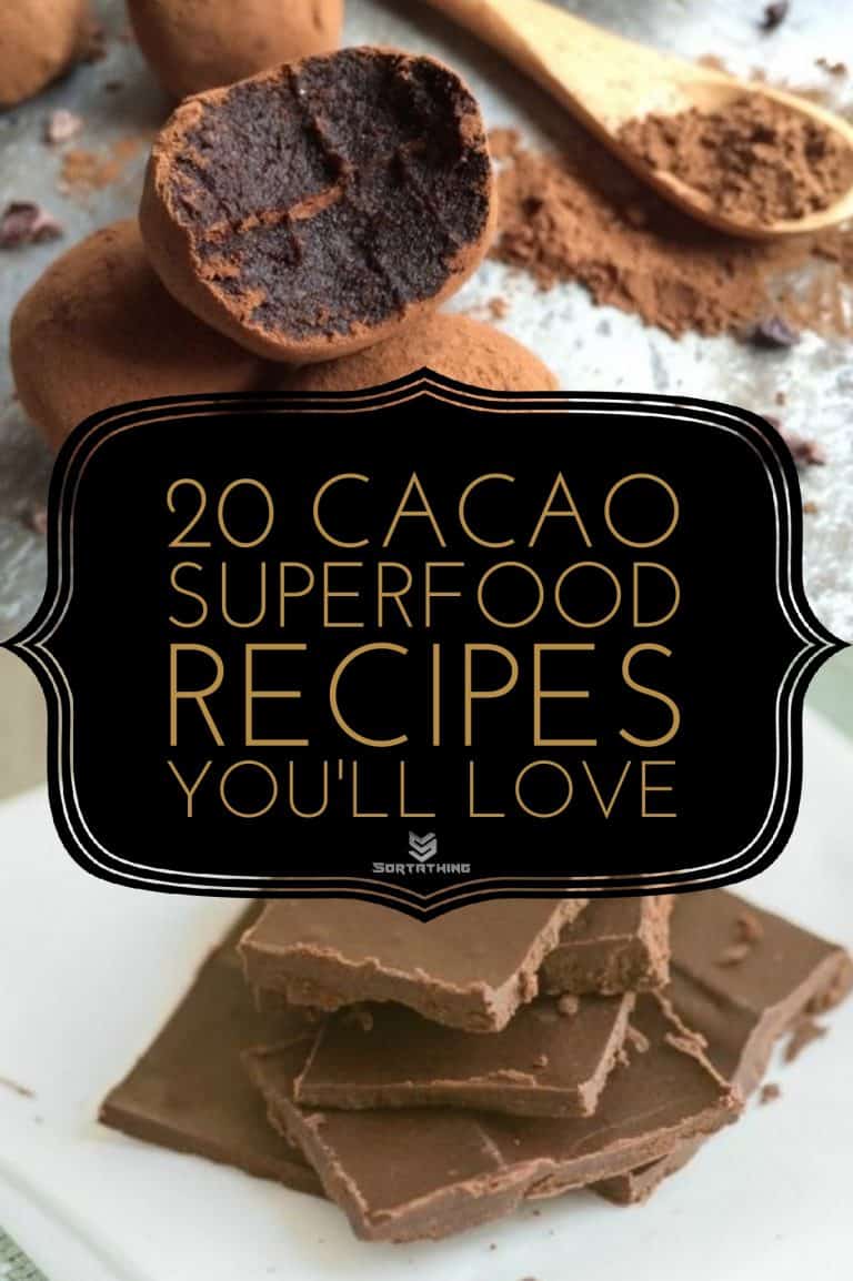 Two-Ingredient Raw Vegan Chocolate Truffles & Easy Homemade Paleo Dark Chocolate Two-Ingredient Raw Vegan Chocolate Truffles & Easy Homemade Paleo Dark Chocolate