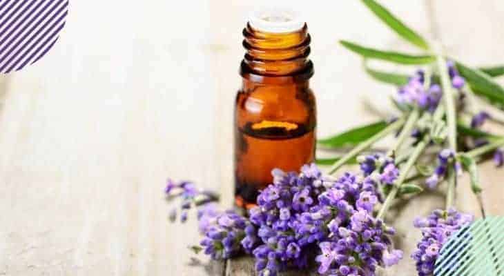 dangers of essential oil diffusers