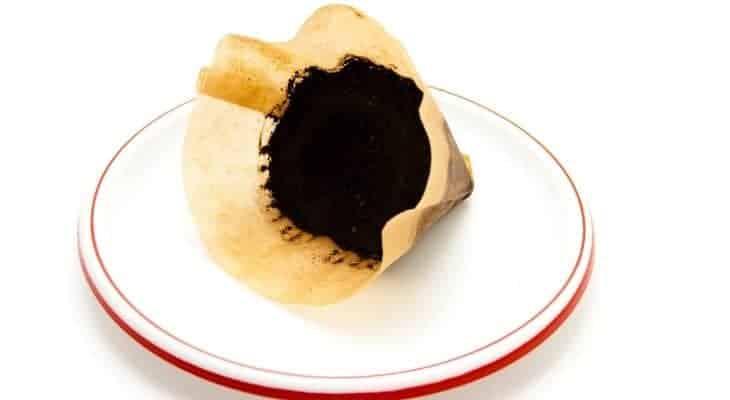 are coffee filters biodegradable